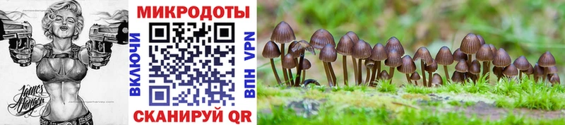Псилоцибиновые грибы Magic Shrooms  Купить  Демидов 